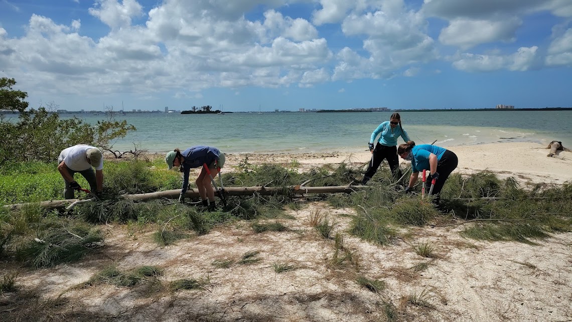 Spoil Island Work